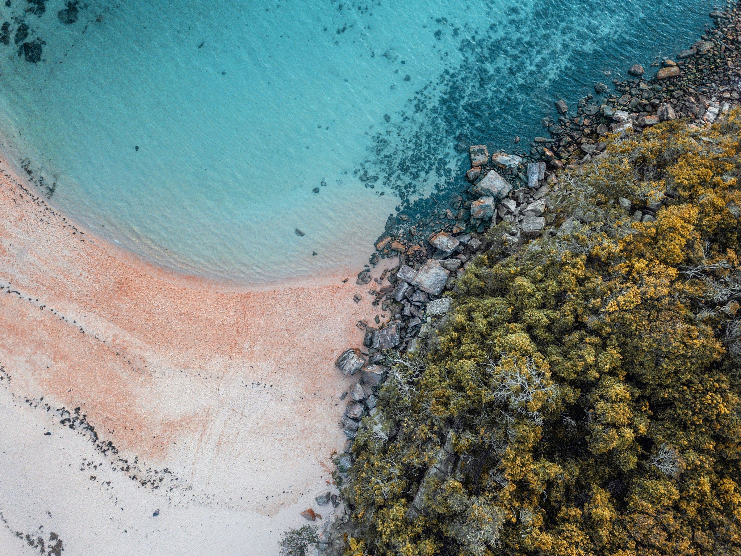 Pink sand, turquoise water and coastal scrub, from above